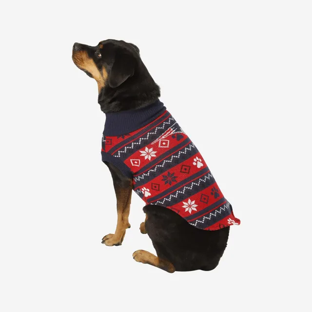 New England Patriots Pull tricoté pour chien de vacances