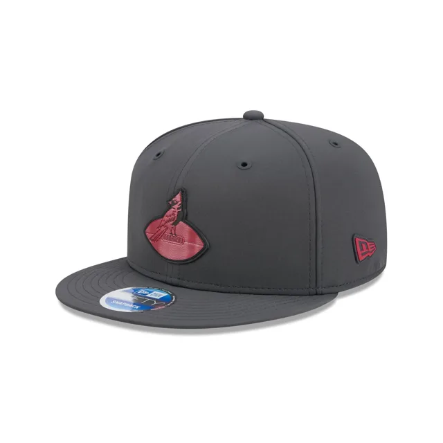Arizona Cardinals 2026 Sideline Cold Weather Historic 9FIFTY Casquette Snapback