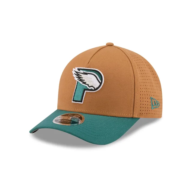 Philadelphia Eagles Casquette Snapback Deceptor Bronze 9FORTY M-Crown A-Frame